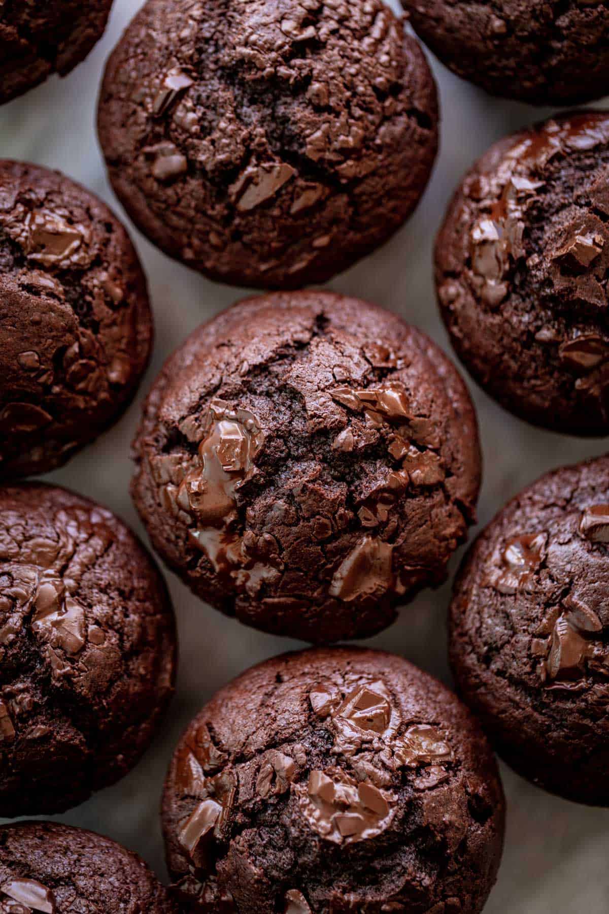 A batch of double chocolate chunk muffins