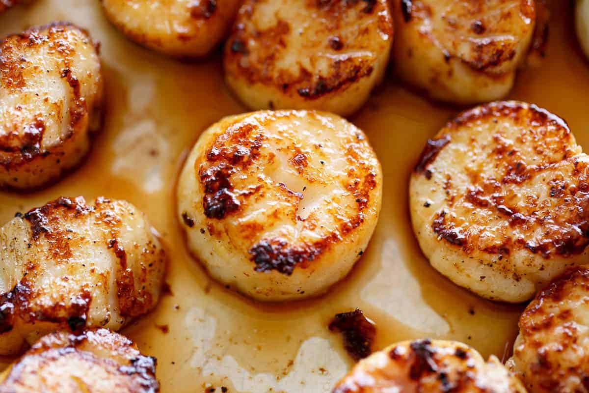 How to cook scallops #sear #scallops #butter #oil #skillet